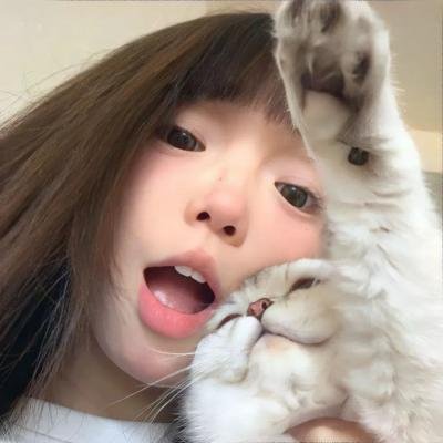 捣蛋的公鸡